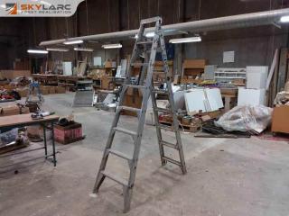 Bailey extendable aluminum ladder