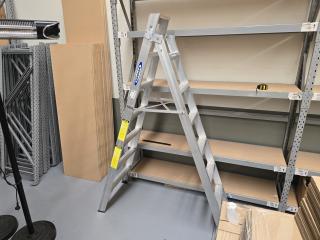 Werner Aluminum Ladder 