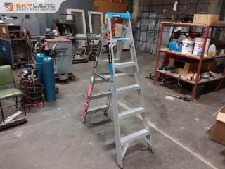 Easy access aluminum ladder