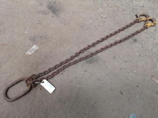 2-Leg 2550kg Capacity Lifting Chain Set