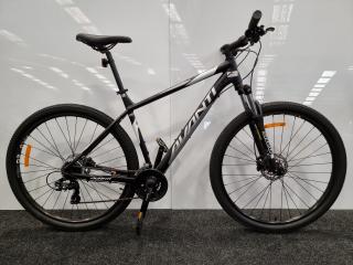 Avanti  Montari  1 -  X Large