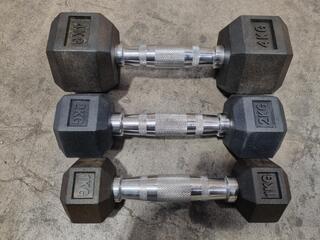 3x Hex Rubber Dumbells by XLR8