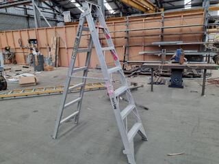 Ullrich Combination Step & Extension Ladder