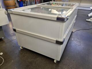 Retail Mobile Island Display Freezer