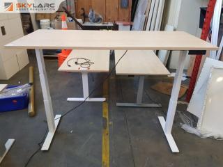 Electric Standing Office Desk