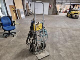 ESAB Buddy Tig 160 Welder w/ Welding Trolley