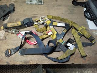 Sala Safety Harnesses