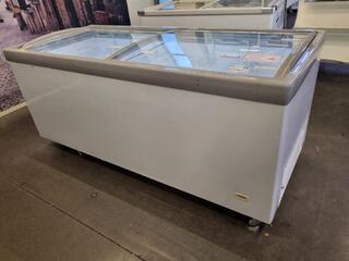 Retail Chest Showcase Display Freezer