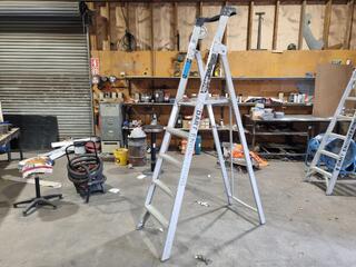 EasyAccess Industrial Platform Step Ladder