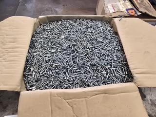 Box of Phillips Screws