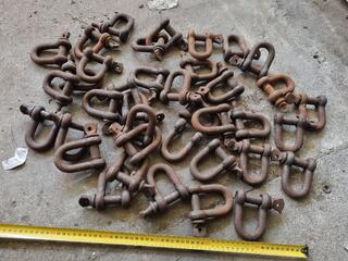 37x D-Shackles