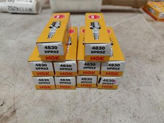 NGK DPR9Z 4830 spark plugs