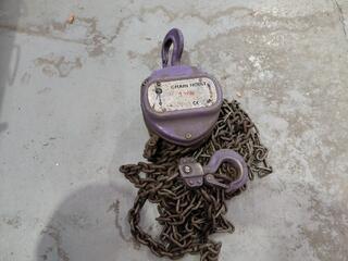 Master 1 Ton Chain Hoist
