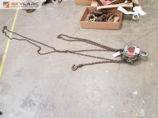 Elephant 1/2 Ton Chain Hoist