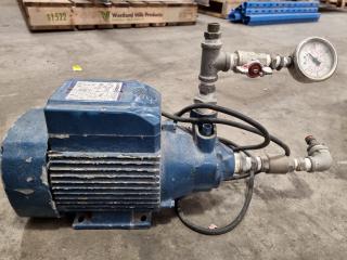 Pedrollo Single Phsse Pump PKm-200