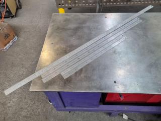 5x Stainless Steel Rulers by Toledo