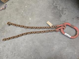 2 Leg Lifting Chain 