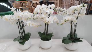 3 Artificial Flowers