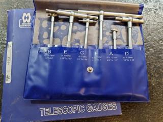 Moore & Wright Telescopic Gauge Set 315-01