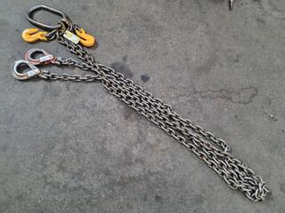 2-Leg Lifting Chain Assembly, 4250kg Capacity