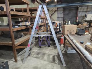 Ulrich Aluminum Ladder
