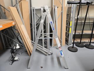 Werner Aluminum Ladder 